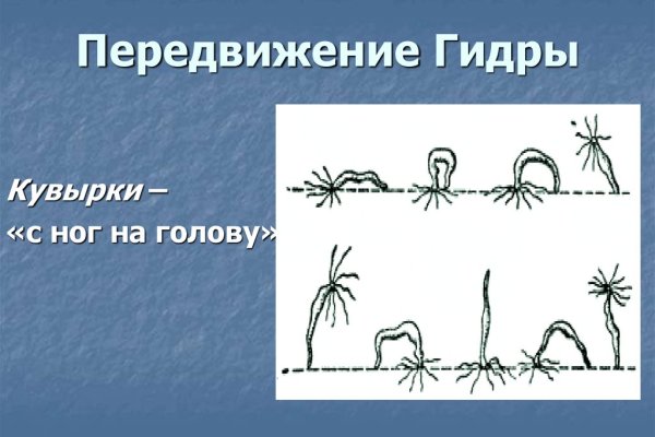 Актуальное зеркало kraken