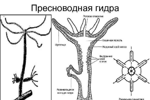 Кракен сайт для наркоманов