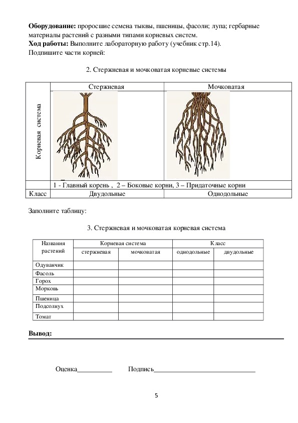 Актуальное зеркало kraken